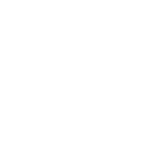 Solution Bright logo